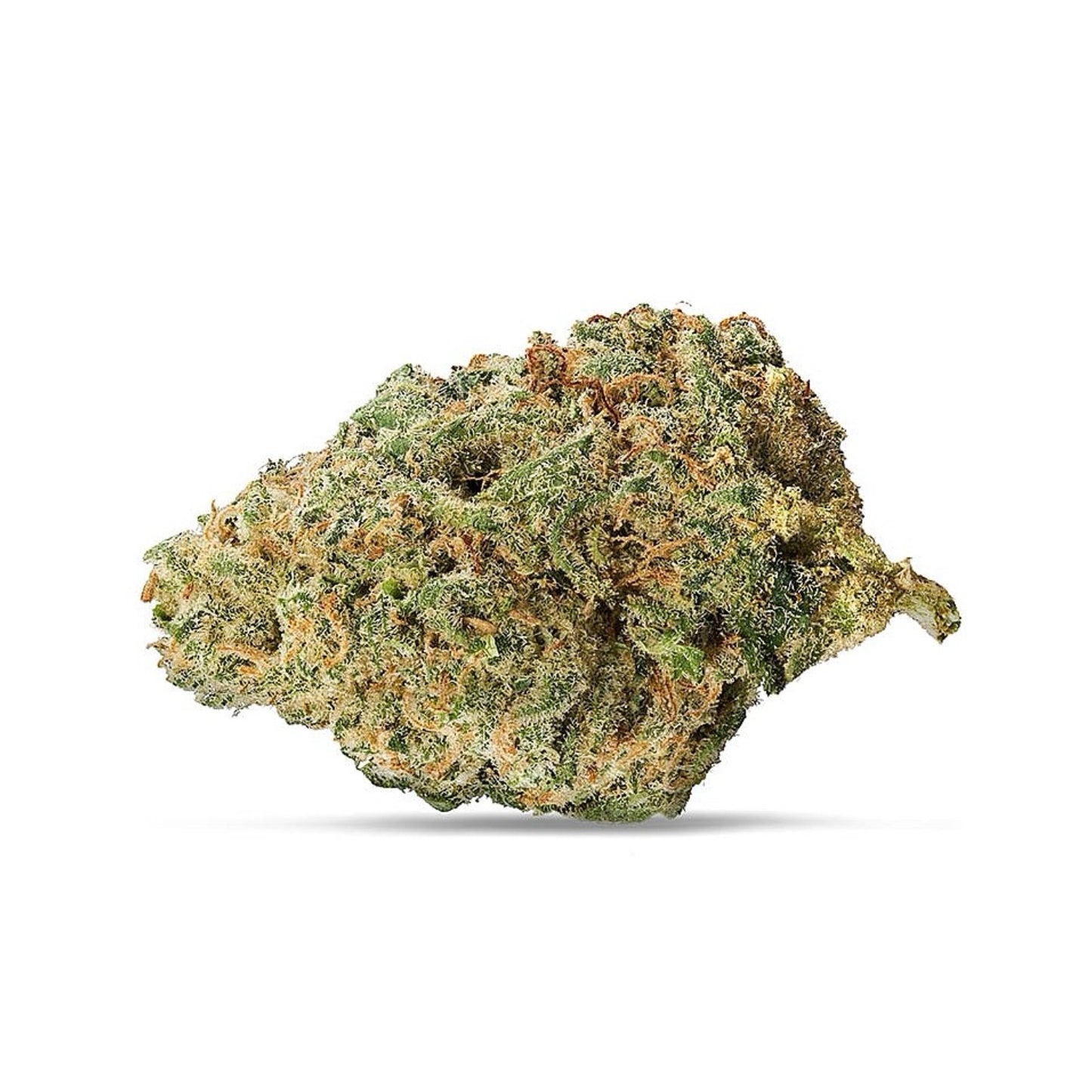 Flor Blueberry CBD – ganadora Spannabis 2024, aroma a frutos del bosque