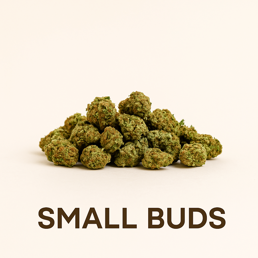 Tropical Mix Small Buds