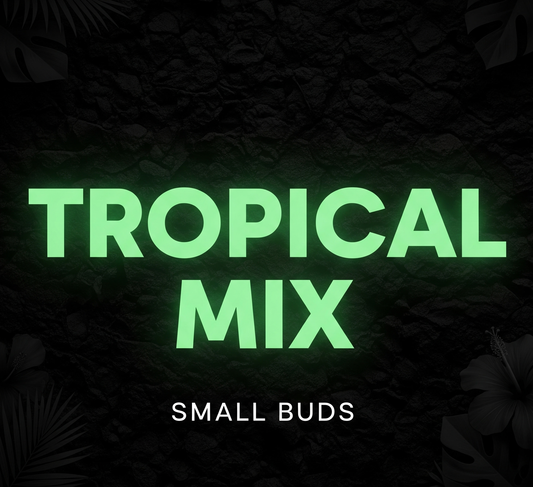 Tropical Mix Small Buds