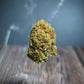 Amnesia CBD